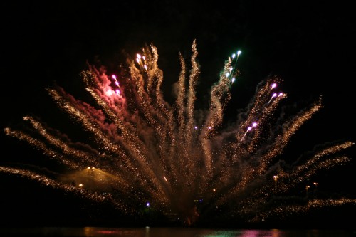 Tarkkamarkka toivottaa hyvää uuttavuotta! (Flickr: 1541)