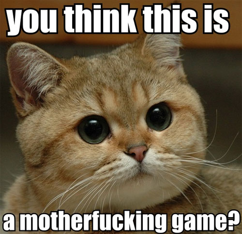 You think this is a motherfucking game?