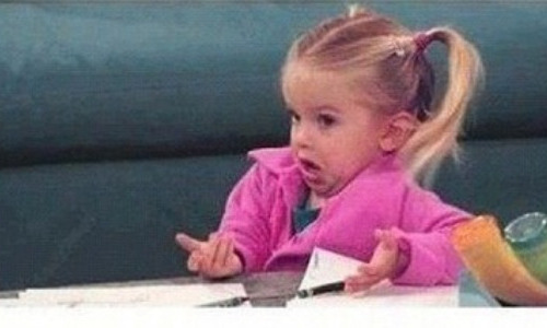 Kun joku kysyy mihin rahasi menivät