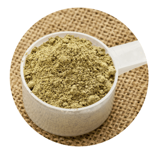 Hamppuproteiinia (Cocovi)