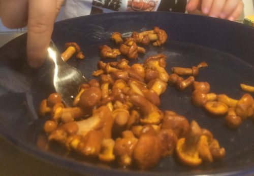 Paistettuja kantarelleja